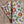 Napkin Millefleurs Ivory, Set of 4