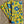 Napkin Millefleurs Yellow, Set of 4