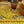 Napkin Millefleurs Yellow, Set of 4