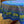 Olives Mimosa Blue Acrylic-Coated Round Tablecloth