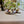 Ribalta Petals Linen Acrylic-Coated Tablecloth