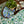 Versailles Green Acrylic-Coated Tablecloth