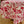 Versailles Rose Acrylic-Coated Round Tablecloth