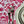 Versailles Rose Acrylic-Coated Tablecloth