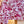 Versailles Rose Acrylic-Coated Tablecloth