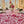 Versailles Rose Acrylic-Coated Tablecloth