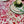 Versailles Rose Acrylic-Coated Tablecloth