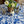 Versailles Blue Acrylic-Coated Round Tablecloth