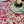 Versailles Rose Acrylic-Coated Round Tablecloth